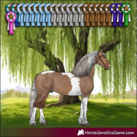 Horse Color:Silver Bay Dun Tobiano 