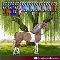 Horse Color:Silver Bay Dun Tobiano 