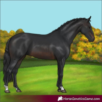 Horse Color:Brown 