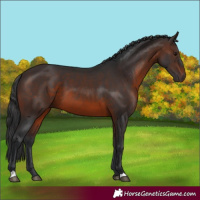 Horse Color:Brown 
