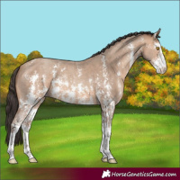Horse Color:Sable Champagne Sabino 