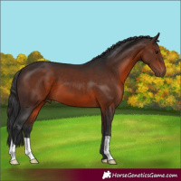 Horse Color:Brown 