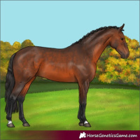 Horse Color:Brown 