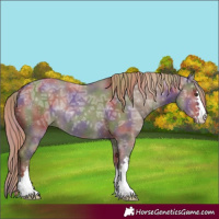 Horse Color:Nacre Liver Red Dun Ice 