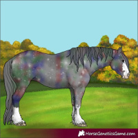 Horse Color:Nacre Black 