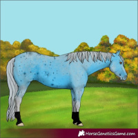 Horse Color:ERROR: UNKNOWN ANOMALY