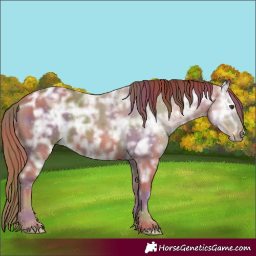 Horse Color:Nacre Chestnut Ice