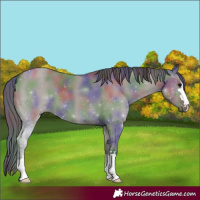 Horse Color:Nacre Grullo