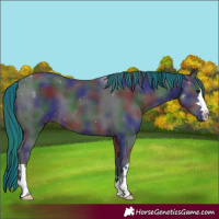 Horse Color:Painted Nacre Brown 