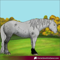 Horse Color:ERROR: UNKNOWN ANOMALY