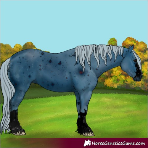 Horse Color:ERROR: UNKNOWN ANOMALY