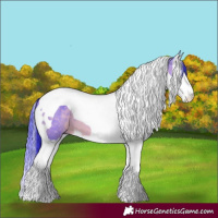 Horse Color:Watercolor Bay Chinchilla Splash Tobiano 