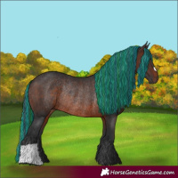 Horse Color:Painted Brown Rabicano 