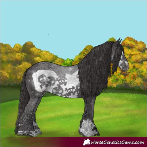 Horse Color:Smoky Black Frame 