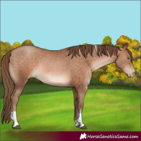 Horse Color:Brown Pearl Tobiano 