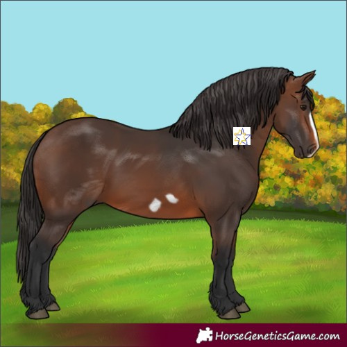 Horse Color:Brown Frame 