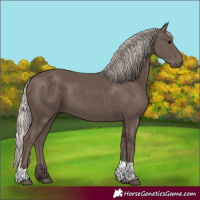 Horse Color:Silver Black Tobiano 