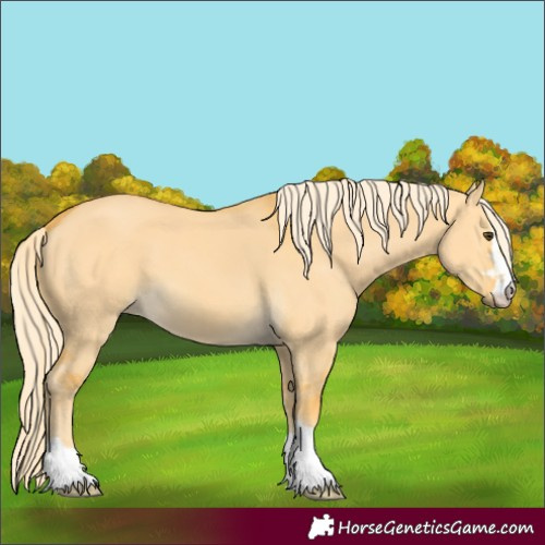 Horse Color:Palomino Dun 