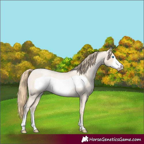 Horse Color:Smoky Blue Roan Pearl Frame 