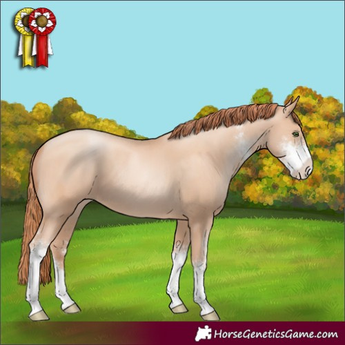 Horse Color:Classic Champagne Pearl Sabino 