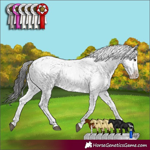 Horse Color:Smoky Black Sabino 