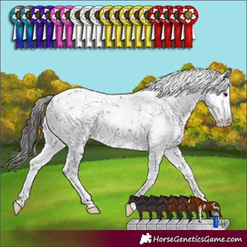 Horse Color:Brown Sabino 