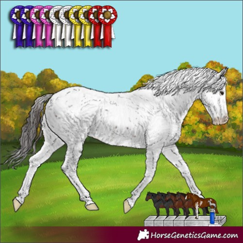 Horse Color:Brown Sabino 