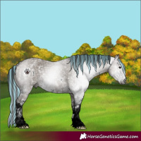 Horse Color:Gray Painted Grullo Sabino