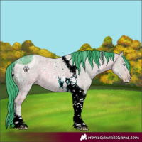 Horse Color:ERROR: UNKNOWN ANOMALY