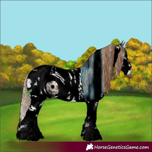 Horse Color:ERROR: UNKNOWN ANOMALY