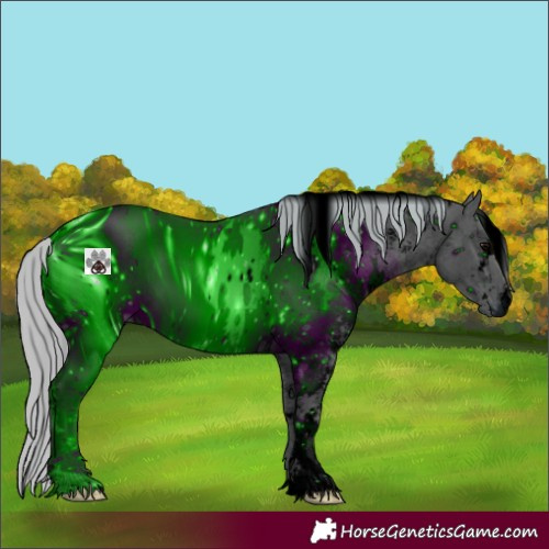 Horse Color:ERROR: UNKNOWN ANOMALY