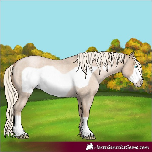 Horse Color:Chocolate Palomino Roan Pearl Frame 