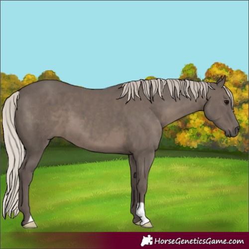 Horse Color:Silver Black 
