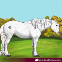 Horse Color:Watercolor Silver Brown Sabino 