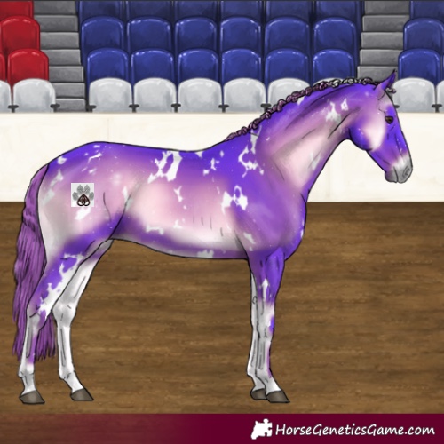 Horse Color:Watercolor White Spotted Liver Red Onyx 