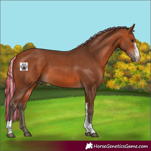 Horse Color:Painted Silver Bay Sabino Tobiano 