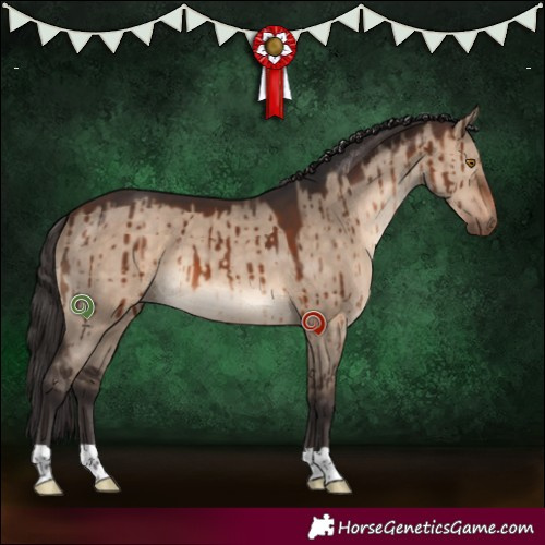 Horse Color:Brown Dun Brindle 