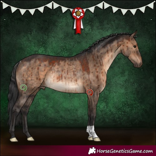 Horse Color:Brown Dun Rabicano Brindle 