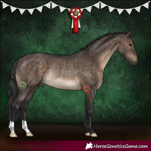 Horse Color:Brown Dun Rabicano Brindle 