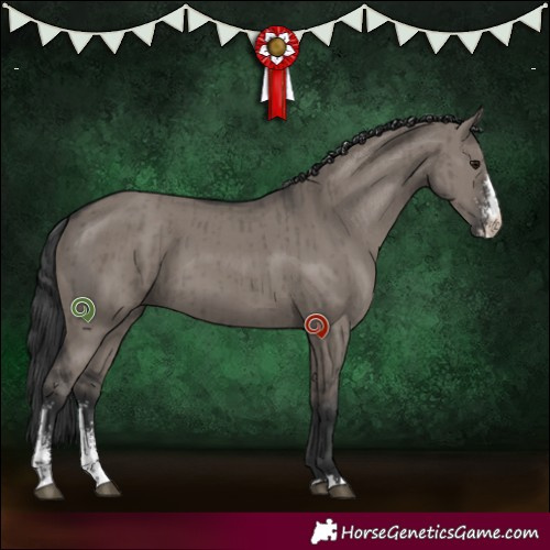 Horse Color:Grullo Sabino Brindle 