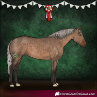 Horse Color:Silver Brown Dun