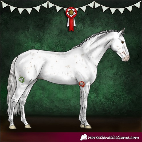 Horse Color:Silver Brown Dun Sabino Rabicano Brindle 