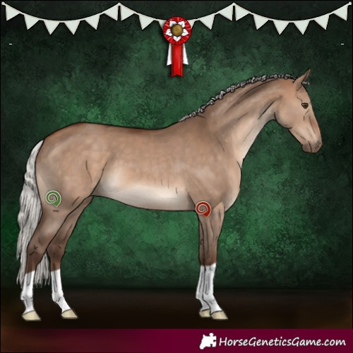 Horse Color:Silver Bay Dun 