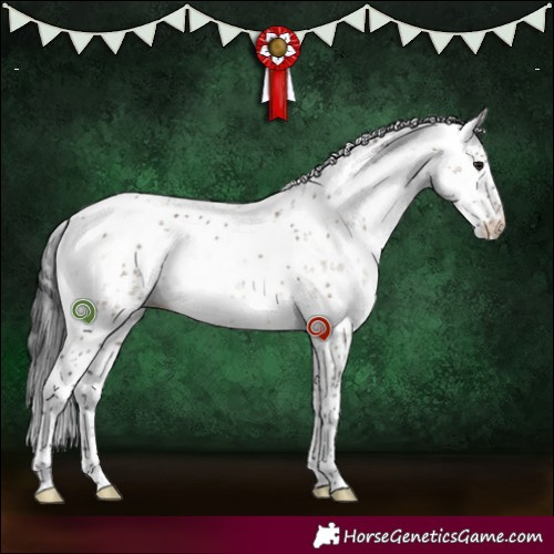 Horse Color:Brown Dun Sabino Brindle 