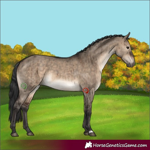 Horse Color:Brown Dun Brindle 