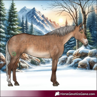 Horse Color:Silver Bay Dun Sabino Brindle 