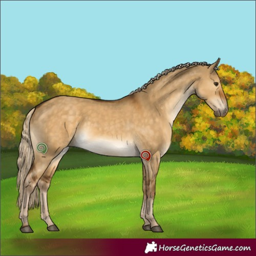 Horse Color:Chocolate Palomino Dun 