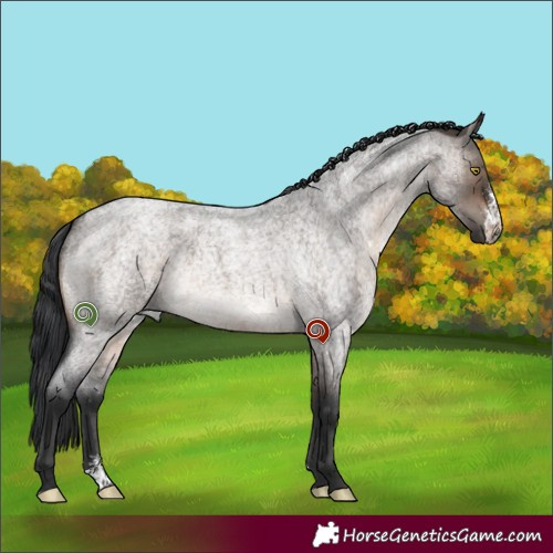 Horse Color:Brown Roan Dun Sabino Brindle 