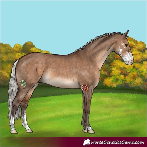 Horse Color:Silver Brown Dun Sabino 