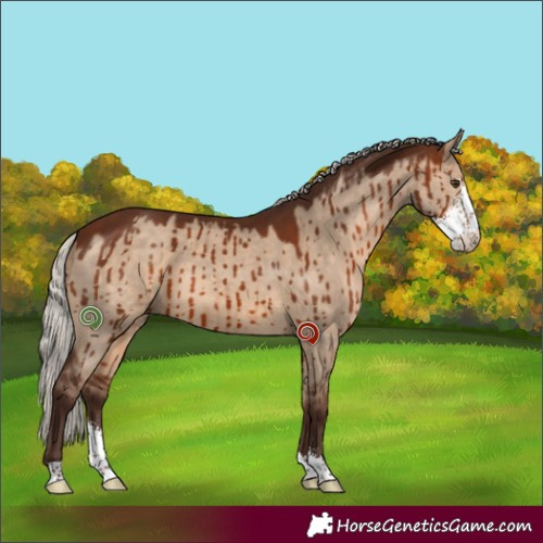 Horse Color:Silver Brown Dun Sabino Brindle 